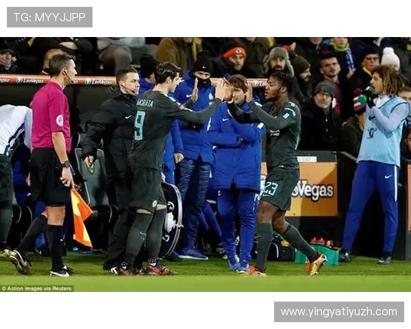 威廉体育全面升级赛事体验，助力体育产业快速发展