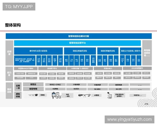 海星体育数字站推动体育数字化战略布局实现行业跨越式发展