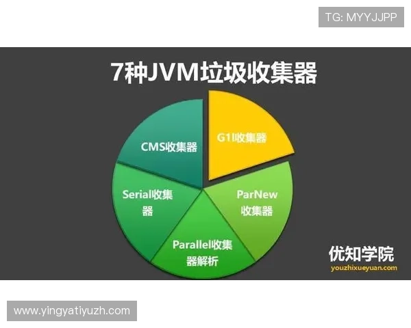 深入解析333体育国际平台的特色功能,助力体育爱好者轻松掌握最新赛事动态与专业分析 深入解析333体育国际平台的特色功能,助力体育爱好者轻松掌握最新赛事动态与专业分析